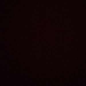 Meet your Posher, Venus